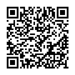 两位初出茅庐的新人编剧几乎可以说是一飞冲天二维码生成