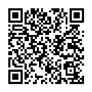 两位姑姑也不认为秦薇薇会做出什么对杨庆不利的事情二维码生成