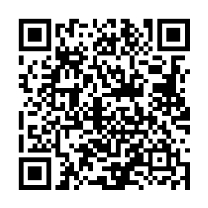 两位巅峰强者为了避免万里河山图落到圣帝的手里二维码生成