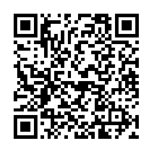 两兽突破到圣域七重天到如今已经过了两个多月的时间二维码生成