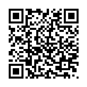 两分钟之内就检查完了自己的武器二维码生成