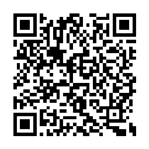 两口子重新被阿怒送回马来西亚这边的海岸线边二维码生成