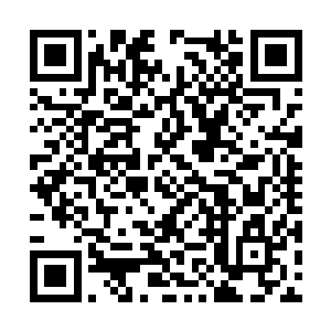 两只傻鸟在孙子轩的命令下开始了横向的缓缓移动二维码生成