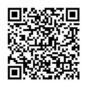 两只散发着淡淡金光的金黄锤便出现在他双手之中二维码生成