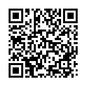 两只散发着霞光的彩羽鸟儿玲珑可爱二维码生成