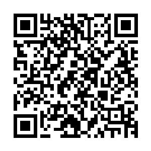 两名妖王此时自然早已看破了当初吴岩虚张声势的幽冥禁咒符文二维码生成