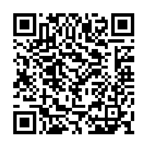 两名知书达理又有各种才艺的女子不再对外营业二维码生成