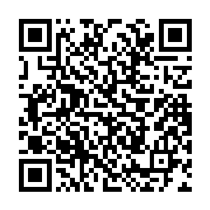 两名老者同样是若隐若无的释放着体内的可怕威势二维码生成