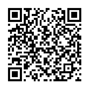 两名身材足有三米左右高矮的巨人手里拿着通讯器二维码生成