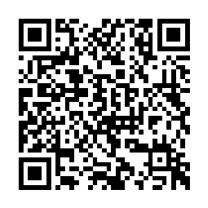 两名身着银色西装的帅气青年挡住了他们的去路二维码生成