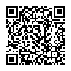 两大中神境界的金牌护卫难道是现在皇子们的标配吗二维码生成