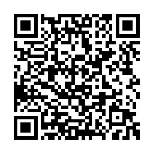 两头狮子以自己的死挡下来了秦宇的这一道剑光二维码生成