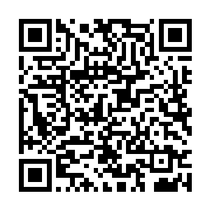 两女对他的话毫无反应――让天仙参加无修为搏斗二维码生成