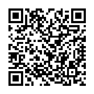 两小对于课业方面还真的就表示了很是浓厚的兴趣二维码生成