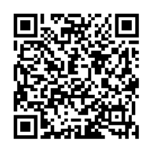 两手一扯紫明月的衣服就将紫明月的上衣撤了一条大口子二维码生成