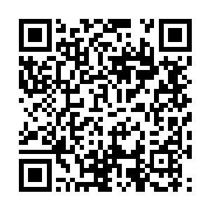 两把龙纹黄金剑已经架到了他们两个人的脖子上面二维码生成