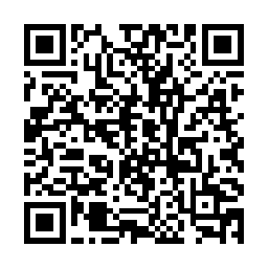 两族的射手们各自朝对方的阵营中射出了致命的利箭二维码生成