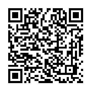 两枚大界王丹应该可以让地灵前辈提升到尊者五十级了二维码生成