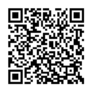 两枚灵丹内的药效都比其他五枚强大的一倍不止二维码生成