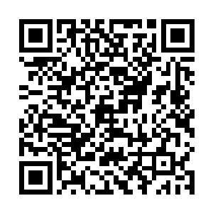 两根根灰色中空的天然管子突然从榕采婆婆的指尖出现二维码生成