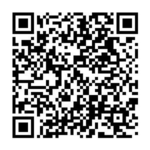 两次出海两次大丰收算是一举奠定了贝海在金枪鱼船长之中的地位二维码生成