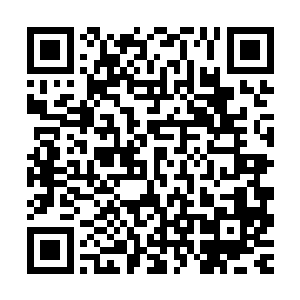 两者的分界线还是很明显的――几排零散的烂蘑菇洒落在边界上二维码生成