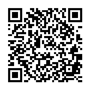 两艘专门用于海岛酒店观光旅游的电动小型潜艇已经运到旺达镇二维码生成