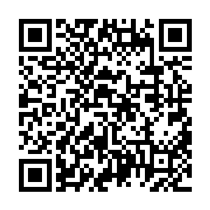 两起事件的始作俑者秦林秦木槿先生的生活却异常的平静二维码生成