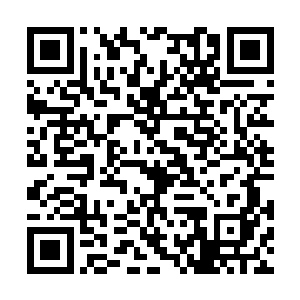 两辆车正在以非常恐怖的车速疾驰在这一段道路上二维码生成