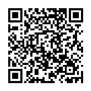 两边暴起的机甲师们突然感觉一股强大的威压降临二维码生成