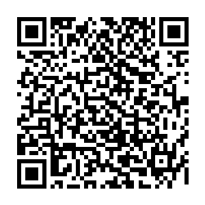 两边有着仇怨……至于一开始出现的那头残翅怪兽则有可能是中立的势力……二维码生成