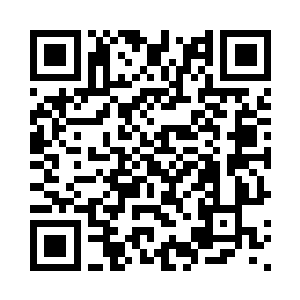 两部电影拉到一起做了一次大对比二维码生成