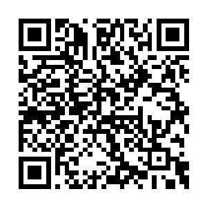 严世蕃正在书房代替父亲严嵩接待刑部尚书何鳌二维码生成