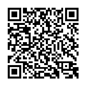 严如卿的双面绣执扇就在京城贵妇千金中传开了二维码生成