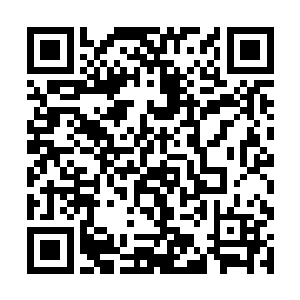 严小乐不住用手指指着下方不远处的赤红色岩石巨城二维码生成