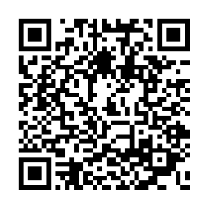 严承悦对李鸾儿将这件事情的前因后果说了一遍二维码生成