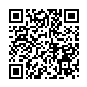 严承悦怎的想到将这位可儿姑娘弄来保育局二维码生成