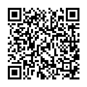 严默一边动手把几张兽皮摆来摆去看要从哪里下手二维码生成