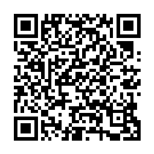 严默也没打算现在就弄出一个超越现阶段发展的法典出来二维码生成