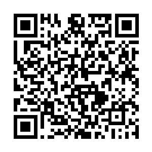 严默了解到住在这里的穿沙甲们都不用自己出去捕猎二维码生成