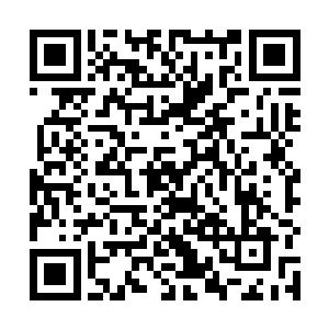 严默亮出金针对望着他眼冒绿光还流口水的男人晃了晃二维码生成