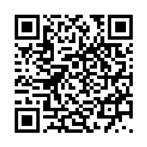 严默压根就没想到九风的羽毛很珍贵二维码生成