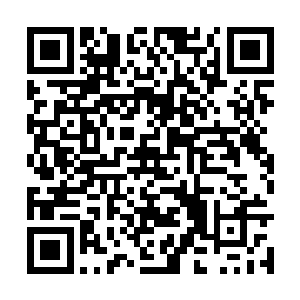 严默反应了一会儿才意识到虞巫口中的野蛮人是谁二维码生成