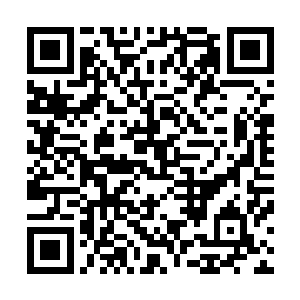 严默发现能现场展示的骨器差不多是一个级别顶多四个这样二维码生成