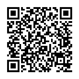 严默带着这些会发光的蘑菇和能量枪械去了音城二维码生成