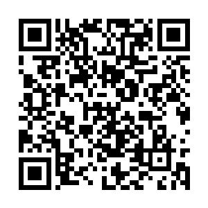 严默把藿香正气丸的药效和治疗病症简单告诉布华二维码生成