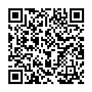严默拿起一根他无事时用烂皮碎皮和干草一起编出的皮绳道二维码生成