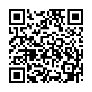 严默无视远处的人鸟大战和近处的鱼鸟调戏二维码生成