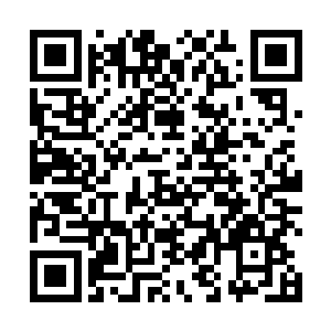 严默甚至在其中发现了类似九风曾经喂他吃过的蜂王卵二维码生成