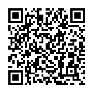 严默真的很不理解这些西大陆人对魔骨的热情和疯狂二维码生成